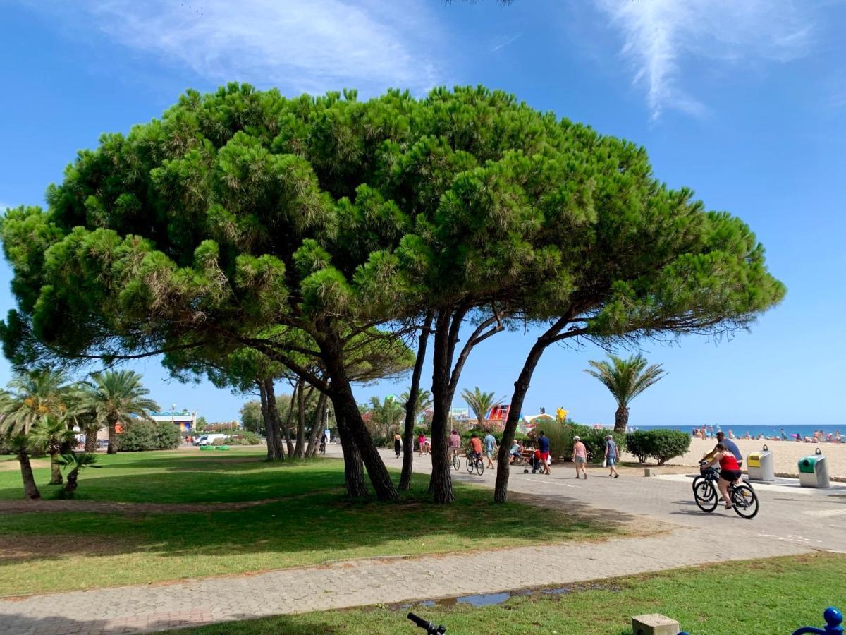 Superbe Appartement Neuf Entre Mer Et Pins Wifi Argelès-sur-Mer Exterior foto