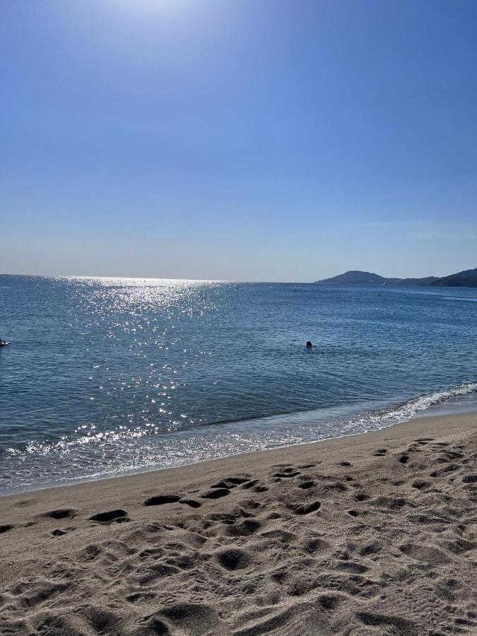 Superbe Appartement Neuf Entre Mer Et Pins Wifi Argelès-sur-Mer Exterior foto